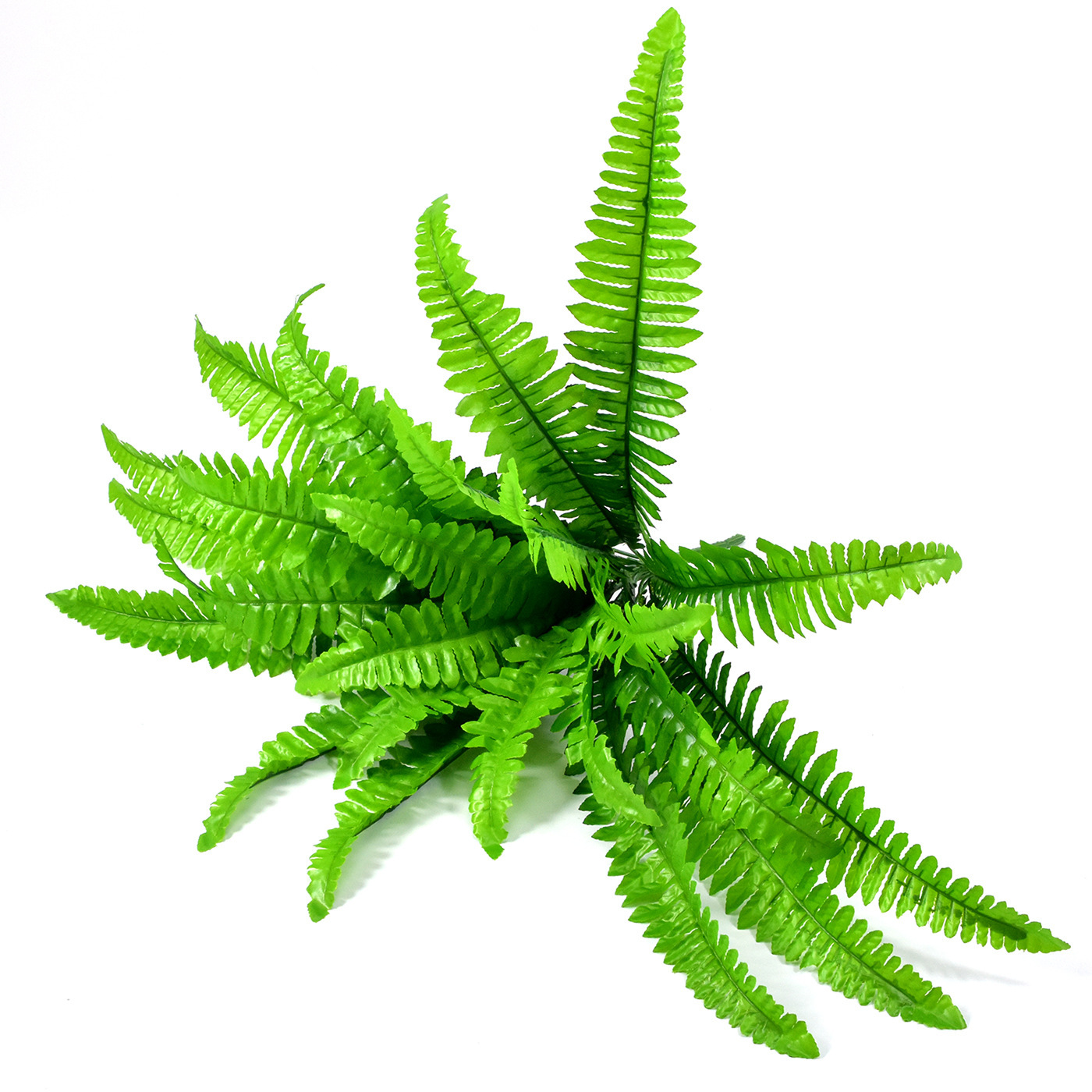 simulazione di grande decorazione murale di felce persiana con erba appesa a parete vite piante verdi tessuto di seta grande erba persiana_voghion.com