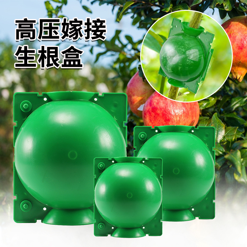 Box Plant Root Control Device for Grafting and Rooting, Breathable, Universal, Household Magic Tool, Wholesale Flower Pots, Vases, Gardening