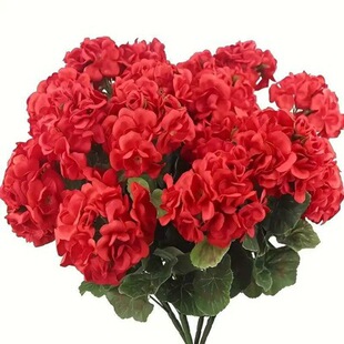 ԭ��羳 ���R�d ���N�L���滨���Ļ��ٻ���c�Ҿӿ͏d���ÿ��z��