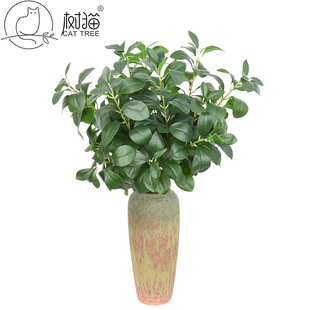 �������m�~ë�{�ȼ����~�L֦�����~diy�������ϻ�c·���bٻ�