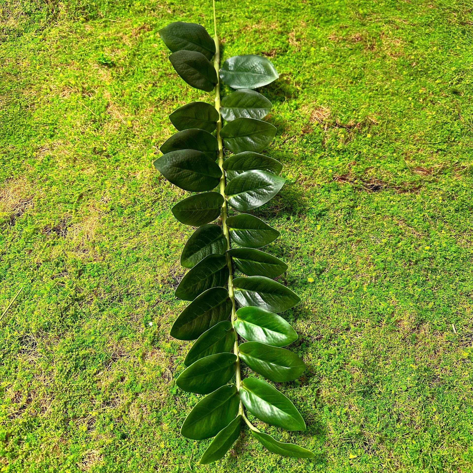 Hojas de dinero 25 hojas individuales (altura 65)