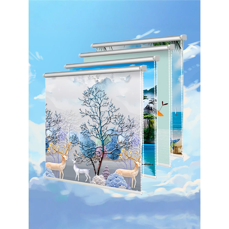 Kitchen Household Simple Curtain Rolled Full Shading 2024 New Toilet Telescopic Roller Painting Roller Shutter Pull Rope