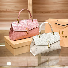 �߼������Q�羳��Ƥ�������ذ���Ů2024�¿�С���~Ƥ���μ�б���