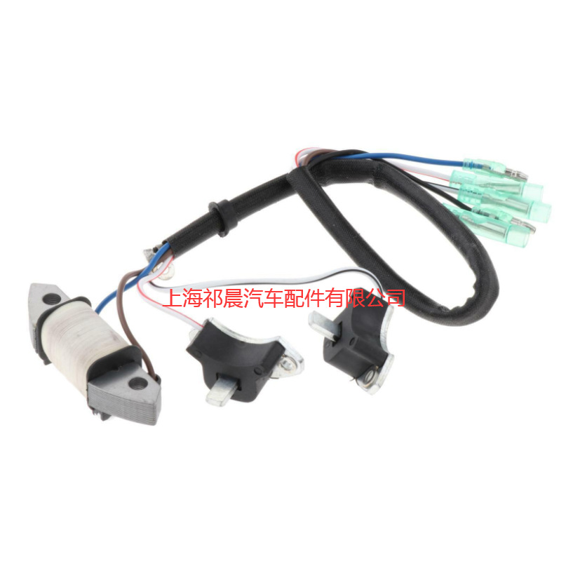 适用于雅马哈Yamaha Outboard Motor 点火线圈 69P-85541-09