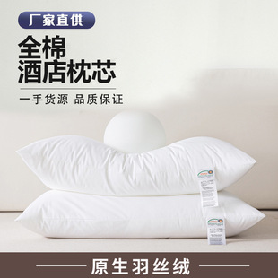 ���Ǽ��Ƶ�ȫ�����^��z�q���^��؏��o�i׵�� �������^����