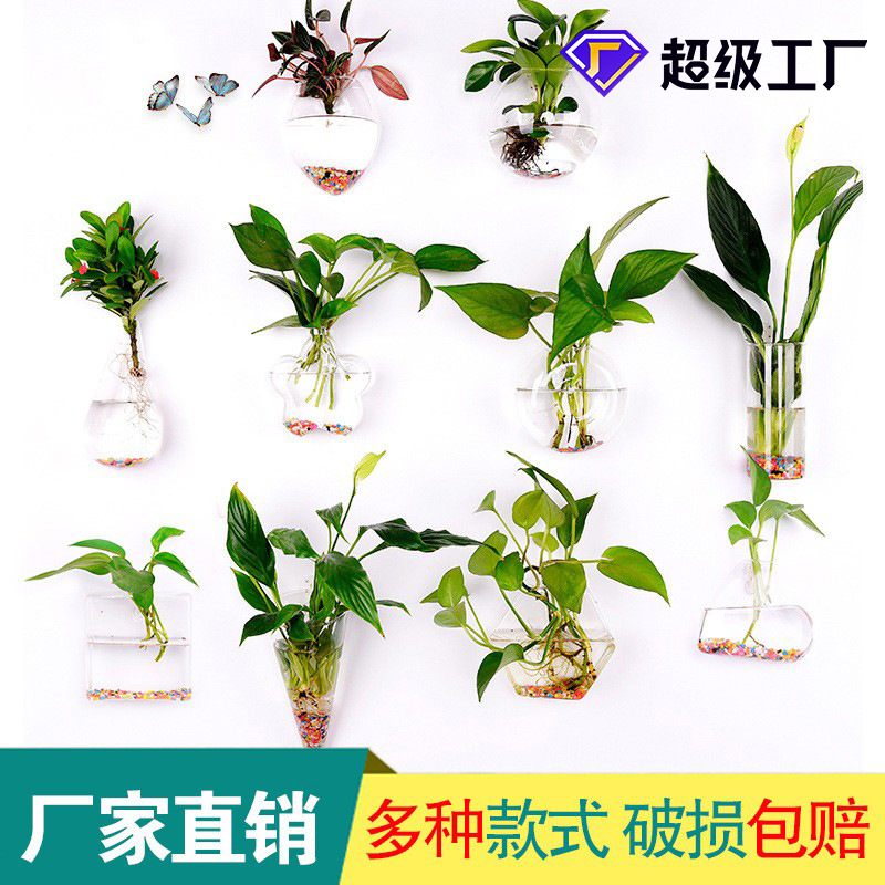 Jarrón colgante de vidrio transparente hogar creativo colgante de pared tanque de peces colgante arreglo floral rábano verde florero de plantas acuáticas