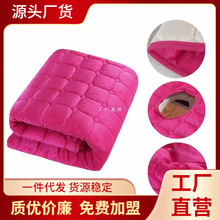 美容院床垫加厚床褥保护垫按摩美容床垫美容床罩防滑床垫开洞