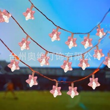 2025�¿����ǟ��~���}�Q�bʟ�������ͯ�����ݮ�W��С�_����