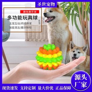 �����������ĥ����������ҧ�z�����ҧ���������␞����ӖȮ