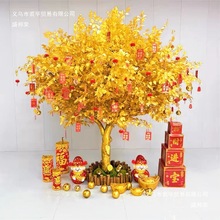 Řͼ٘SuXtlؔ̈Ƶb٘