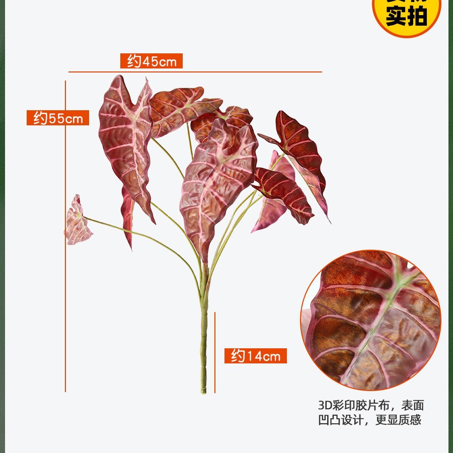 9 aloe leaves red