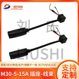 M30-5-15A 插座线束电动车充电转换头线电摩快速充电器接头线定做