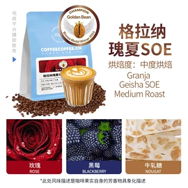 咖啡豆;挂耳咖啡;咖啡生豆