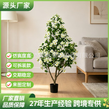 �羳����ֲ�ﻨ���򻨘�پGֲ�辰�͏d����b��[�O��������