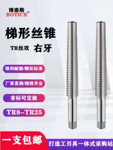 T���ݼy�C�ýz�F���������ݼy�z�F�����z�FT81023 12142-255����