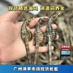 安定した供給 清水海馬 漢方薬原料 海馬卸売は、サンプルをバラまたは箱全体で提供でき、迅速に発送できます。