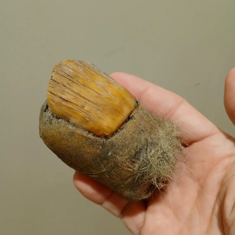 Amazon 2025 cross-border explosions resin crafts Bigfoot ToeSasquatch toe manufacturers wholesale