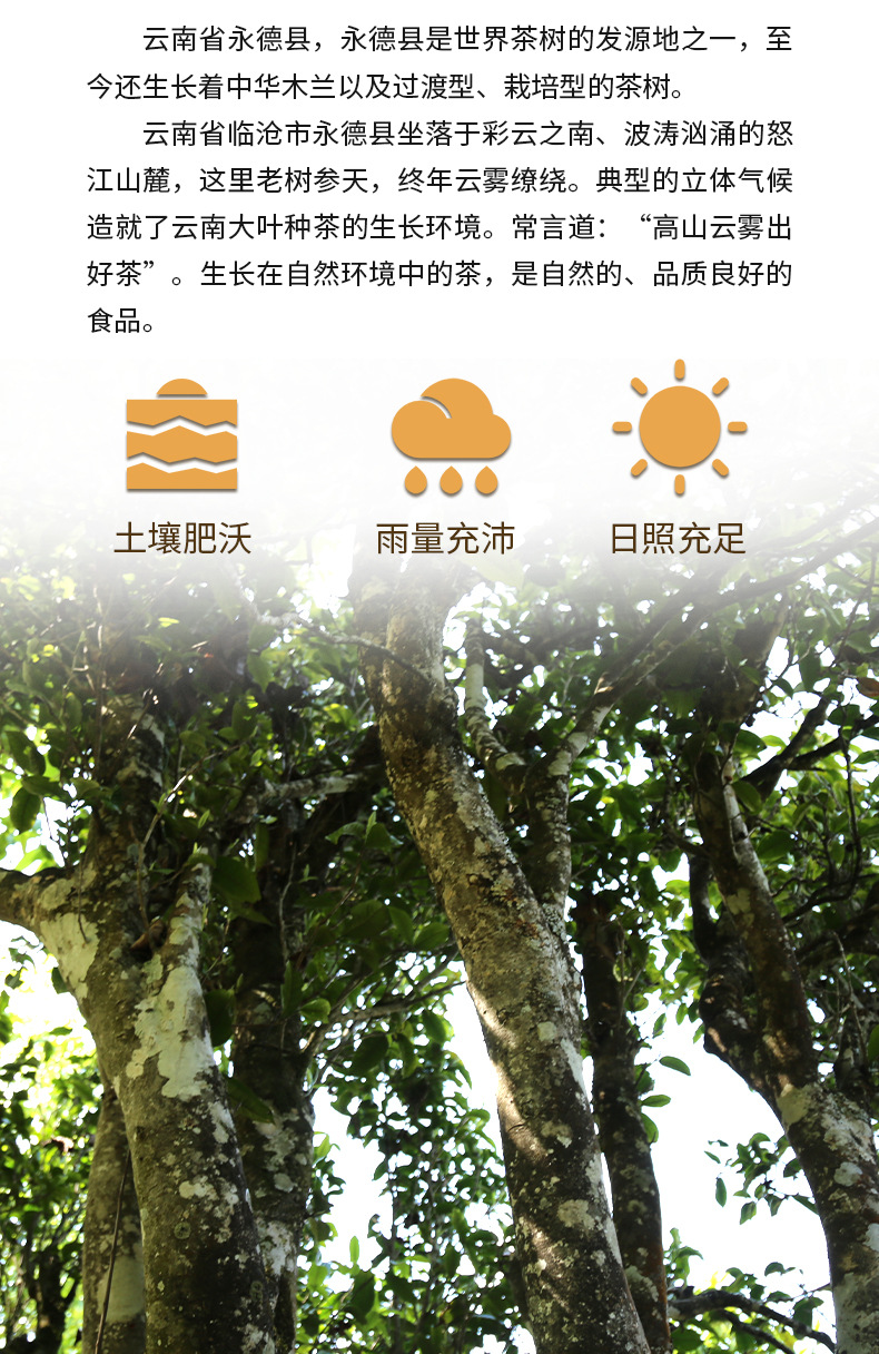 详情_05.jpg