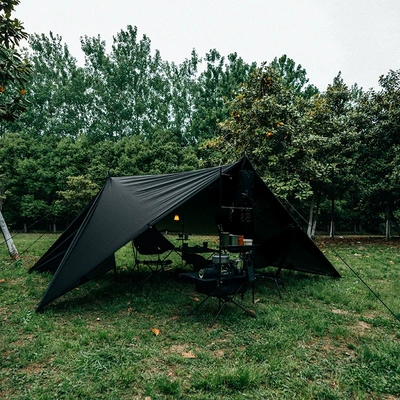 Avtomobil yan çətirləri – Black-Coated Tarp