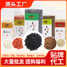 新货东北绿芯黑豆打豆浆发豆芽专用绿心黑豆五谷杂粮农家自种黑豆