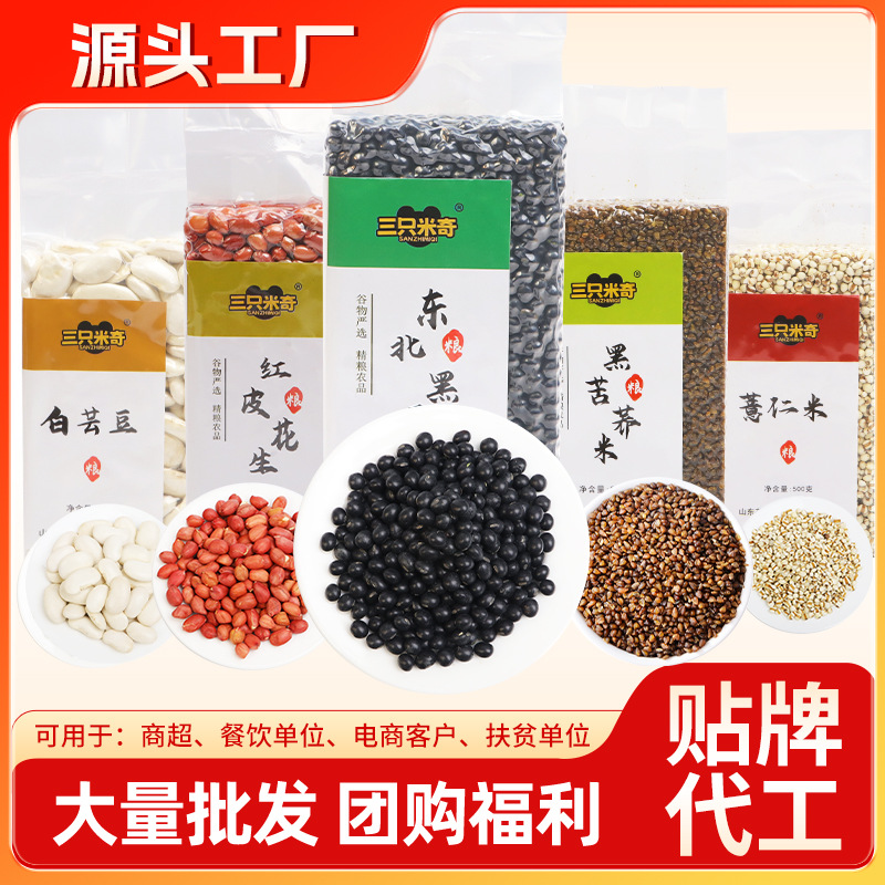新货东北绿芯黑豆打豆浆发豆芽专用绿心黑豆五谷杂粮农家自种黑豆