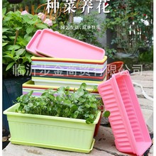 �������Q�N�����ͥ�@ˇ�̨�N�������Ϙ�֬�L���λ��軨���L�l��