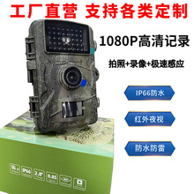 �羳�����ˮ��������ؼ�¼�Ǹ�����ⴥ��ҹ���������DL001