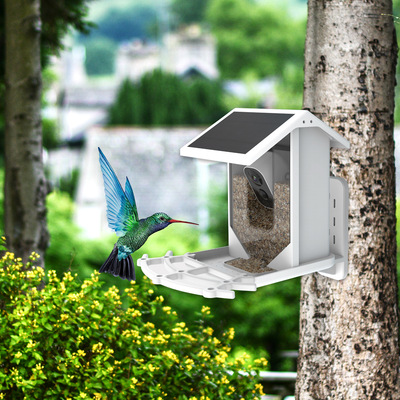 Foreign trade new pattern intelligence visual  Bird Feeder 4MP high definition AI Birds Distinguish solar energy Birds Feeding machine batch