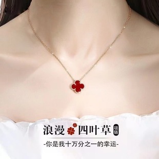 ���y���\���~����Ůins���s�߼��i��朵���Ů�����նY��2024��