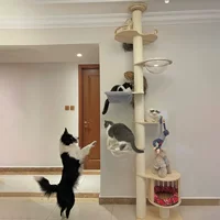 Массивный деревянный кошачий скалолазание Tongtianzhu кошачий гнездо кошачий дерево одно целое