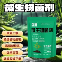 新款家用菌菌净正品枯草芽孢杆菌微生物物菌剂微生物菌剂通用型
