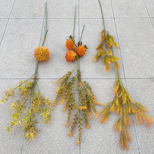 l ɫϵ ϲ Gֲ Yܛb cҾbٻ