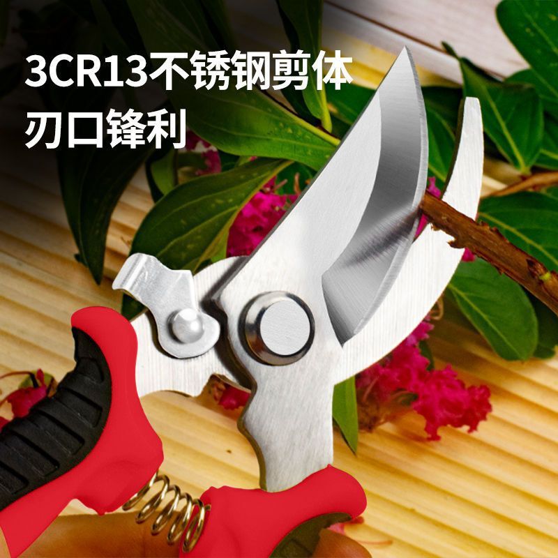 花剪枝园艺剪刀修枝剪省力修剪树枝果树竹签园林花卉剪子|undefined