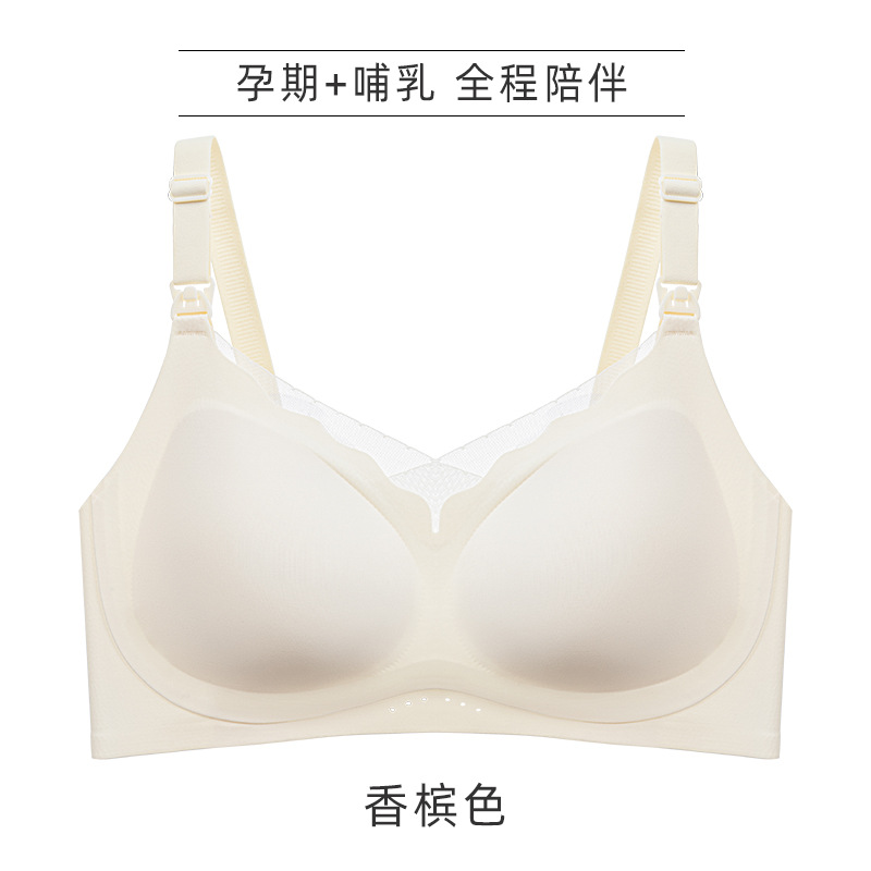 샴페인