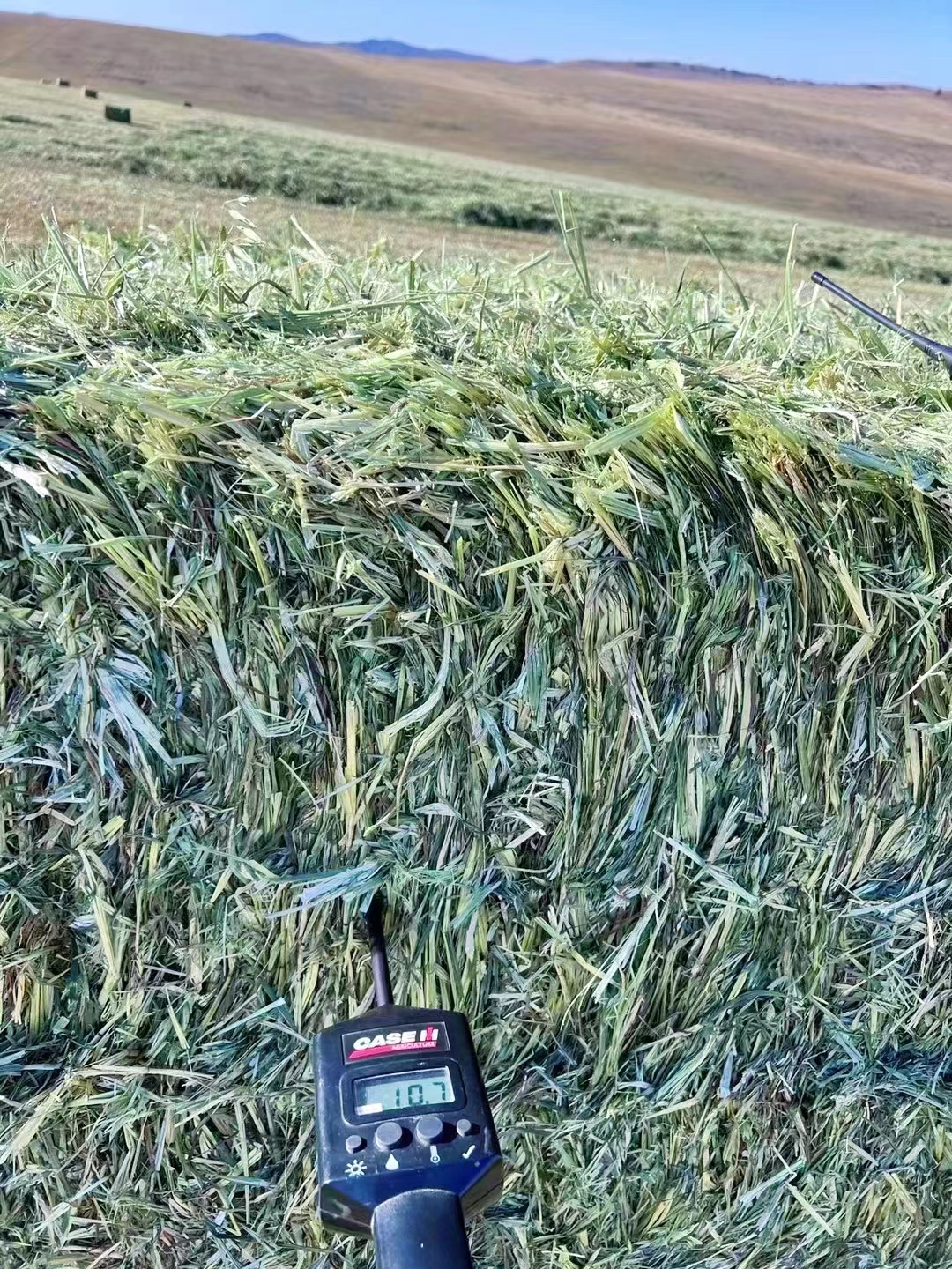 236ba018dce00f8cd4464cfc3eb20b