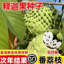 ȹNӷ֦NļNֲ׻߮aN̨ͥԺԹN