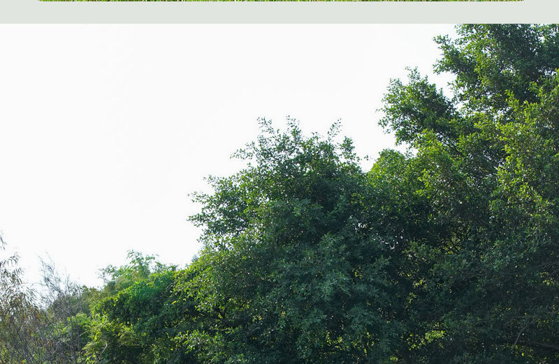 1dd78f80-be3a-4bf2-a9cd-f66ee614ad0a.jpe