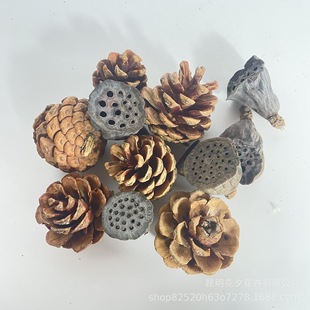 ��Ȼ�ɹ��ɻ��ɹ�Сɏ���^��Ȼ�ֹ�����