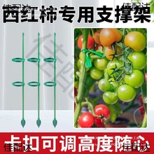 ���t������֧�ΗU�@ˇ��������֧�ΗU�ŵ���֧�ܷ����̶�֧��