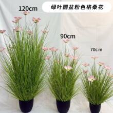 仿真芦苇格桑花植物盆栽洋葱草 北欧装饰家居造景批发芦荀草