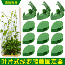 �G�}�̶����Gֲ������������G�j�̶����Ŀ����������P���ٹ��A��