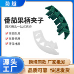 植物弯曲器塑料番茄果柄夹固定加固夹穗防弯折枝干苗木加强批发