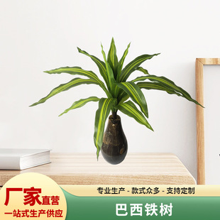 �����F��18�~�S�Gɫ���滨�Gֲ����ľ���Կ͏d�[���҃ȷ���ֲ��