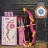 [Color box] Pink light bow and arrow + 10 arrows + quiver + large support dart target + 3 bottles