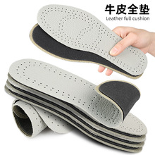 �ؔ�Ƥ���溣���������eЬ�|�Ӻ��^��ţƤ����͸��p���ļ�ţƤ