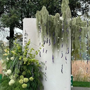 Usnea Old Man Shall Wholesale Manufacturers Direct Supply Air Pineapple Soilless Plants Wedding Flowers Wedding Arrangement