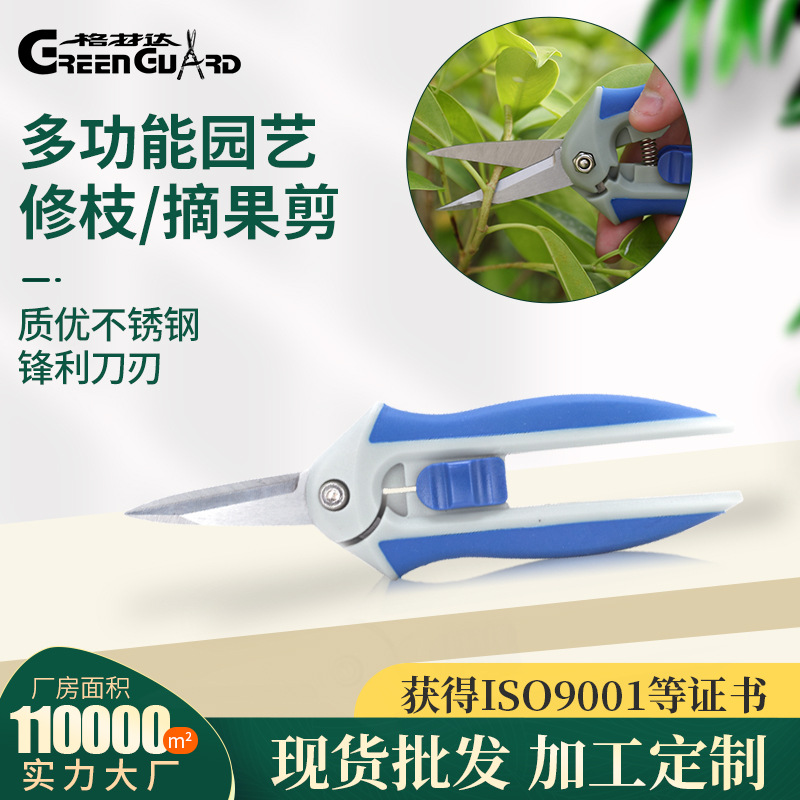 跨境直销不锈钢摘果剪尖头果园摘葡萄稀果剪专用剪刀园艺家用修枝