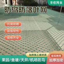 全新料防鸟网养鸡尼龙网养殖天网鱼塘果园大棚爬藤网聚乙烯防护网