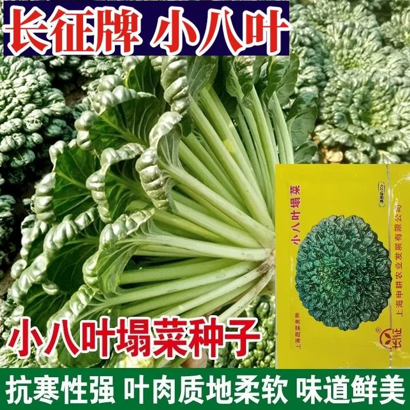 Мелкие восьмилистные семена овощных культур Колла-длинный Март Семена овощных культур Ута Семена овощных культур Черное сердце Морозостойкие осенне-зимние семена овощных культур