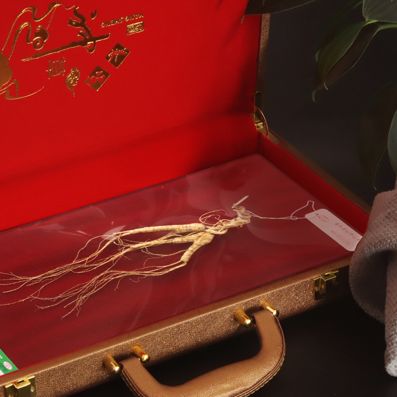 Jilin Specialty Undergrowth Wild Mountain Ginseng Gift Box for Off-Season Sales, Changbai Mountain Ginseng Health Supplement from Original Source, Available for Shipping on behalf